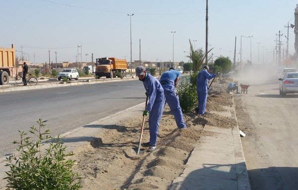 Fallujah municipal workers plant trees in al-Askari neighbourhood in an effort to rehabilitate the city's streets and sidewalks. [Saif Ahmed/Diyaruna]