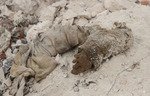 الموصل تطلق حملة أخيرة لرفع أشلاء مقاتلي داعش