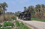Les forces irakiennes débarrassent les vergers de Diyala des derniers éléments de l'EIIS