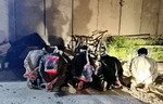 'بەرپرسی ئەمنی' داعش لە تەلەعفەر کوژرا