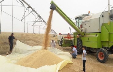 گروهای نیابتی ایران دربخش کشاورزی عراق خرابکاری می کنند