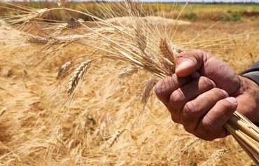Russia falls from grace in Syria as wheat supplies dwindle