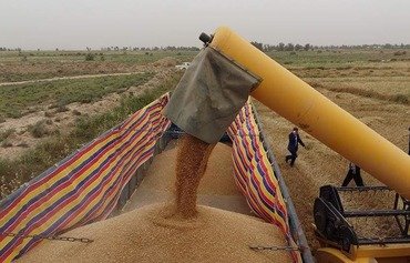 Iraq helps farmers in liberated areas sell crops