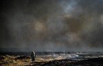 Kurdên Sûrîyayê di amadebaşîyê de ne piştî ku agir genimên li nêzî cihên neftê şewitandin
