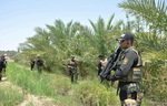 Quatre éléments de l'EIIS abattus dans le cadre de l'opération « Volonté de victoire »