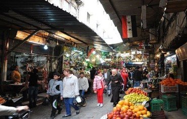 Regime to blame for Syrian pound's collapse: economist