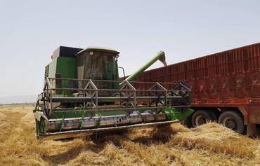 عراق طرح محافظت مزارع در برابر خطر آتش سوزی اجرا می کند