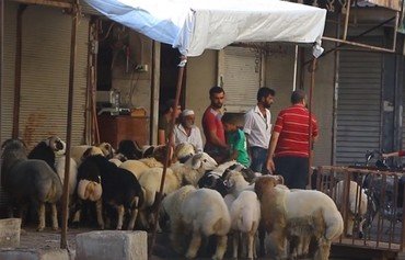 جشن عید قربان در شهر ناآرام ادلب در سکوت برگزار شد
