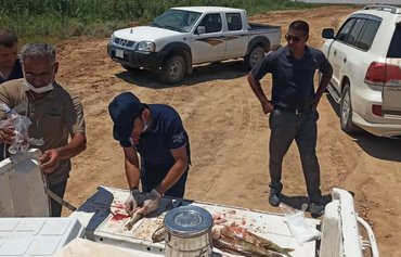 آلودگی و فعالیت‌های غیرقانونی، عامل مرگ ماهی ها در عراق
