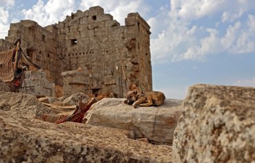 Uprooted by war, Syrians settle on ruins of Roman temple
