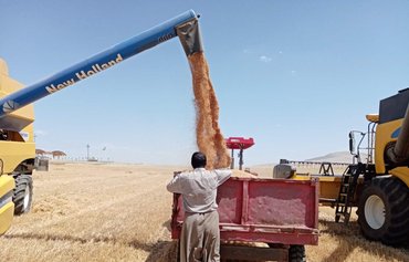 Drought, Iran-backed militias stymie Iraq's agricultural production