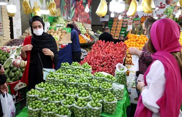 بلدان عدة ترفض المنتجات الزراعية الإيرانية المصدرة إليها في ظل مخاوف من استخدامها محليا